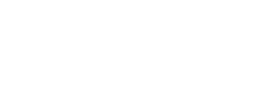 VISon